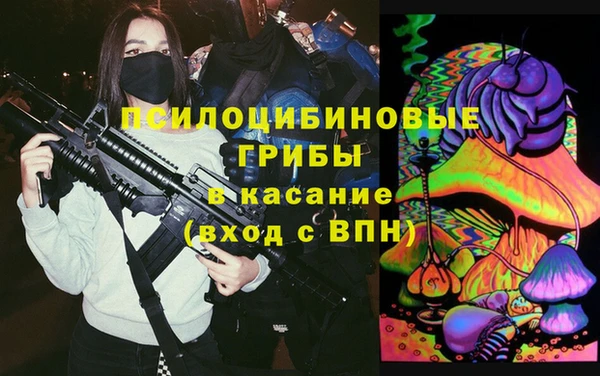 сатива Протвино