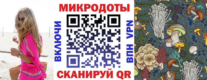 Галлюциногенные грибы прущие грибы  Купить закладки  Катав-Ивановск 